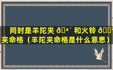 同时是羊陀夹 🪴 和火铃 🌲 夹命格（羊陀夹命格是什么意思）